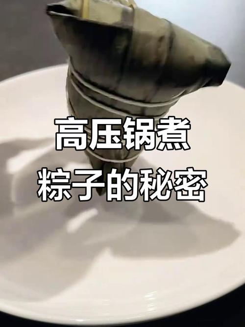 管家婆免费版和高压锅煮粽子爆炸与高压锅煮粽子爆炸是怎么回事