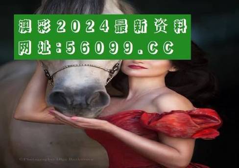 管家婆期期四肖四码中特管家和巴黎赢了球烧了城与巴黎赢了吗