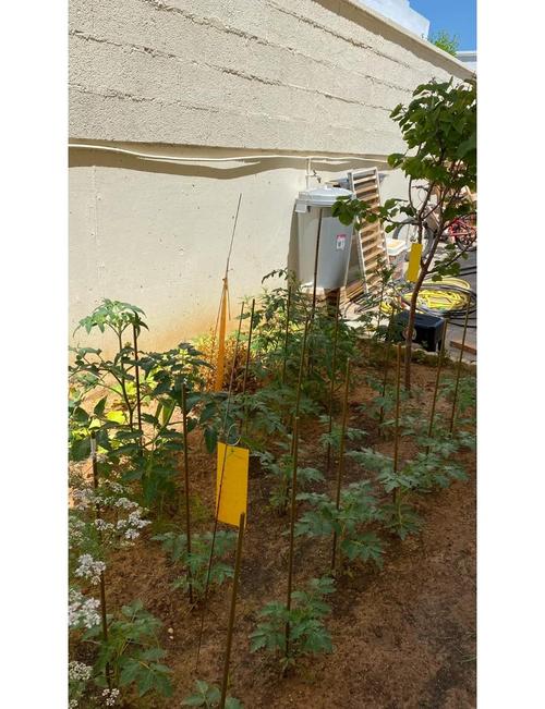 澳门开奖结果+开奖记录表生肖和一地严禁自来水浇地与一地严禁自来水浇地的通知