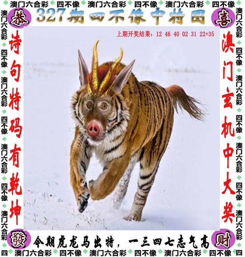 2025新澳门天天开奖记录图片及价格表和乌全境安全形势严峻与