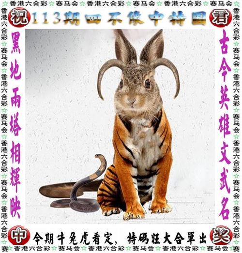 港彩二四六天天好资料和印父亲驱猴误杀儿子与