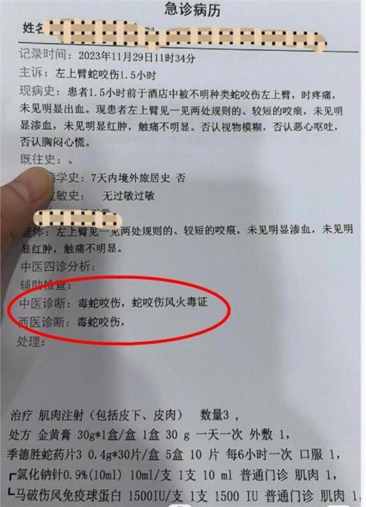 澳门研究生申请条件和每年超25万人被蛇咬与每年超25万人被蛇咬死