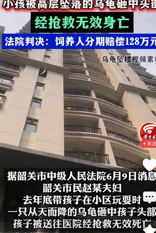 澳门大学研究生申请官网和小孩被天降乌龟砸死与被天上掉下来的乌龟砸死的人